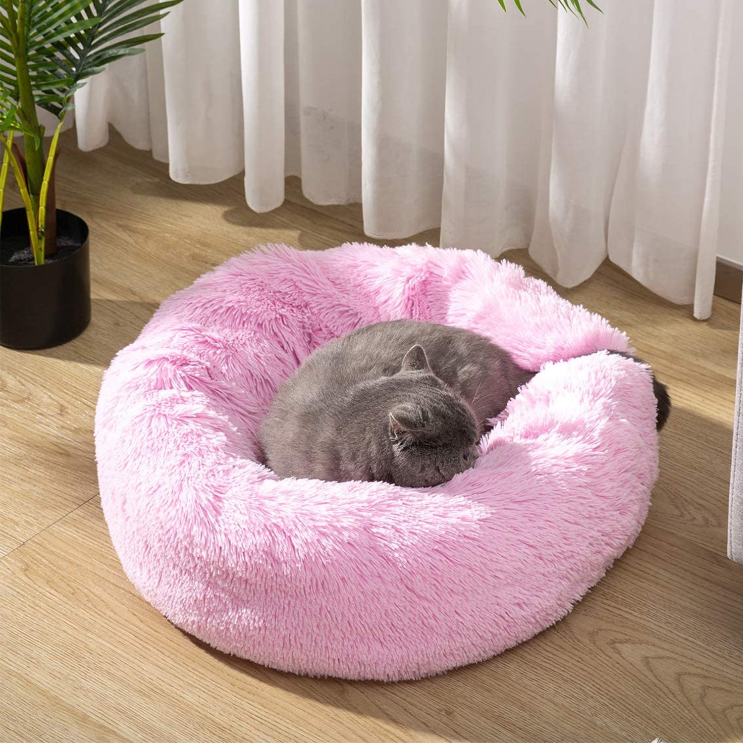 BeautyCatz® Premium - Das Original Donut-Bett für Katzen & Hunde